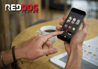 Red Dog Casino Mobile No Deposit Bonus thegameswapper.com